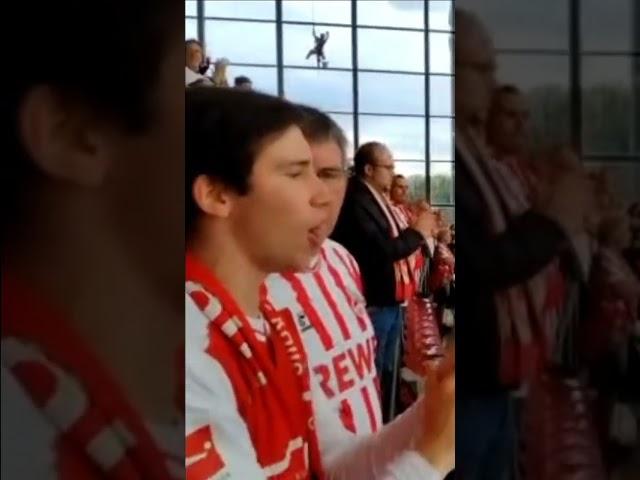 #fußball #bundesliga #fans #köln #stadion #stadium #emotional #support #shorts #shortvideo #short