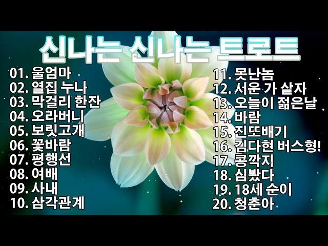 신나는 신나는 트로트 | KPOP [ TROT ] | PLAYLIST( 꽃길.상사화.여인의 눈물.회룡포.바람길...)