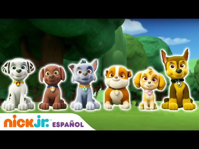Paw Patrol | Rescates en el planeta Tierra | Nick Jr. en Español
