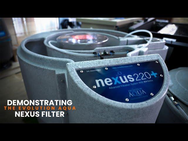 The Evolution Aqua Nexus Filter | Perfect Aquatics Ltd