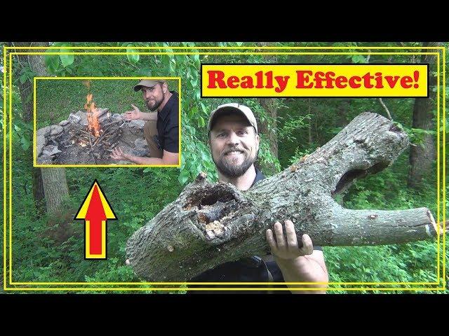 How To Dry Wet Wood Fast!