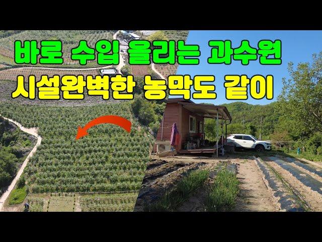 매물번호 0511) 바로 수입올리는 과수원 시설완벽한 농막도 같이