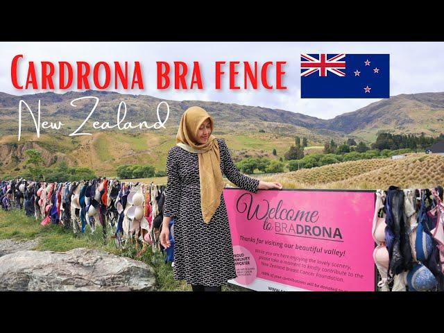 Cardrona Bra Fence New Zealand