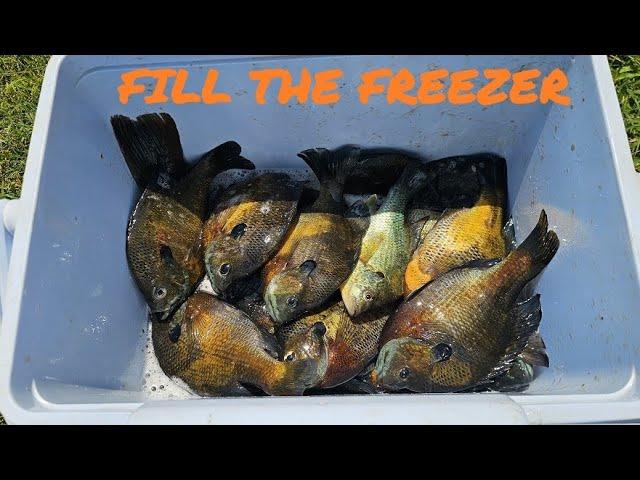 How To Locate Bluegill Beds In Deep Water