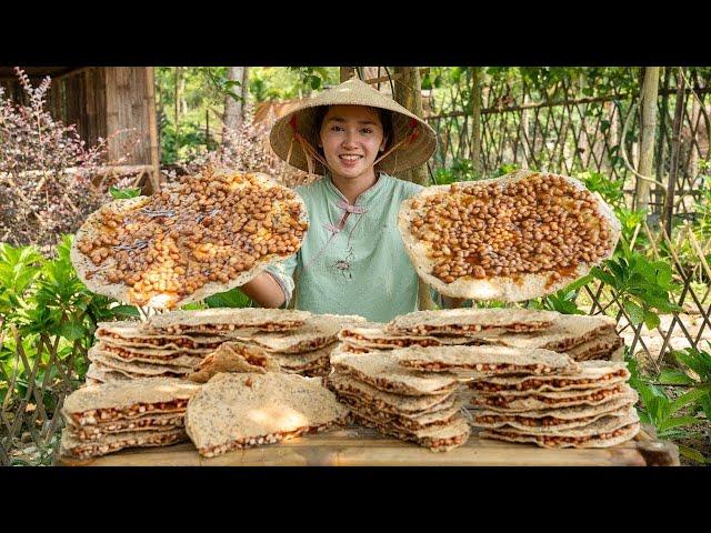 Making Delicious Peanut Candy, Making Tet Cakes - Go To Market Sell - Making garden / Cooking