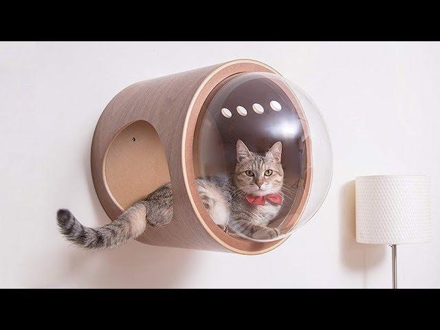 Amazing Pet Gadgets You Must Have