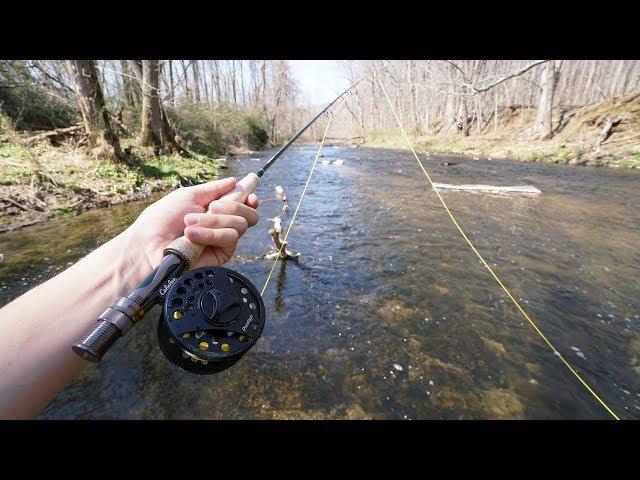 My First Time FLY Fishing!! (Was not expecting this..)