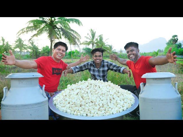 PANNER MAKING | Homemade Panner Making & Cooking Recipe | Panner Butter Masala | Village Food