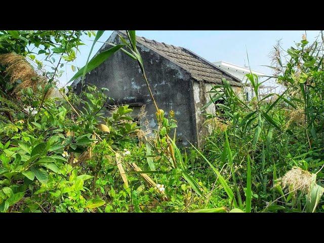 PEOPLE FARMER JOJFUL We Clean Up The Grass House Is Overgrown Like a Farm Forest Comes Back To Life