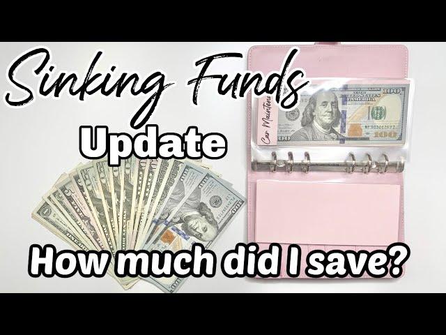 SINKING FUNDS | Cash Envelope System | Budget for Beginners | Counting Sinking Funds | MONETS MONEY