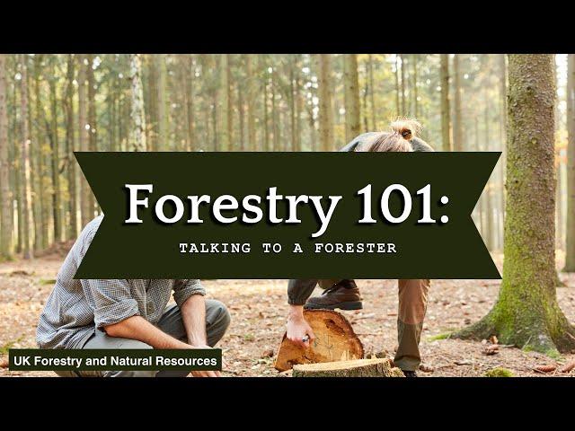 Forestry 101: Talking to a Forester