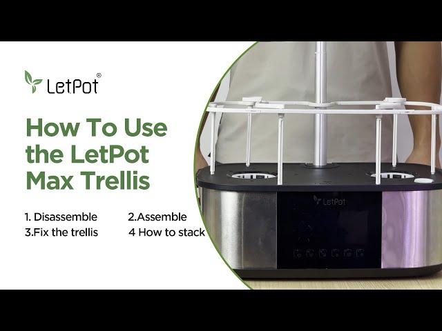 How To Use the LetPot Max Trellis Stand