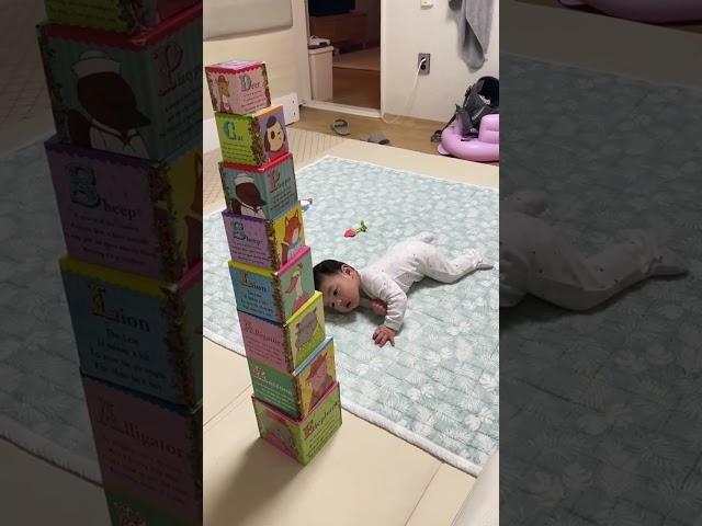 [Kor-Phil] 6-month-old Yujin’s favorite activity- #cutebaby #shorts