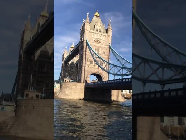 Tower bridge in London from ship pov #shortsfeed #youtubeshort #brilliant #london Beauty of London