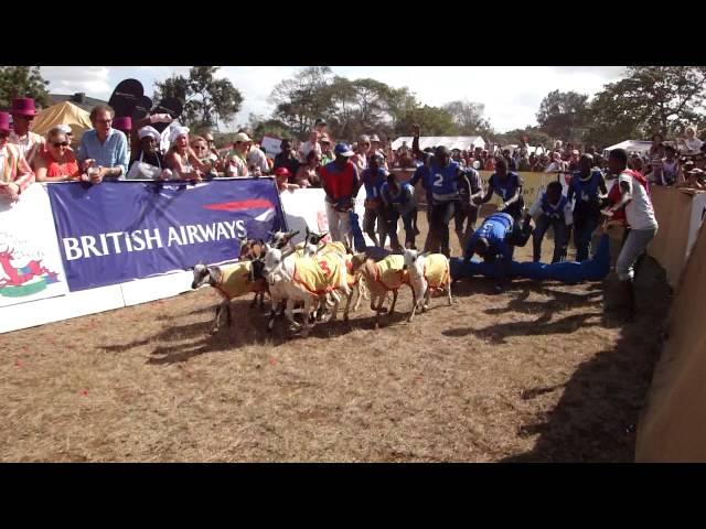 goatrace.MP4