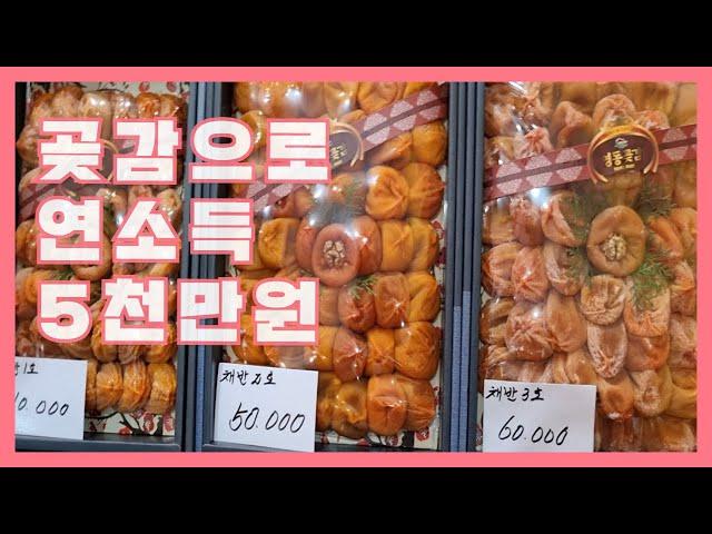 @곶감 말려서 연5천만원 벌어요