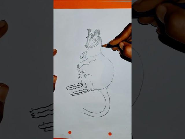 how to draw a kangaroo || how to make kangaroo || #drawing #art #viral #animals