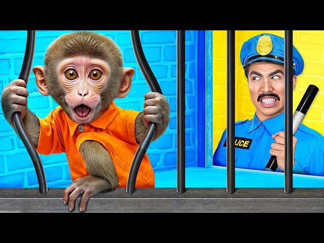 Monkey Escape from Pets Prison by Multi DO Smile