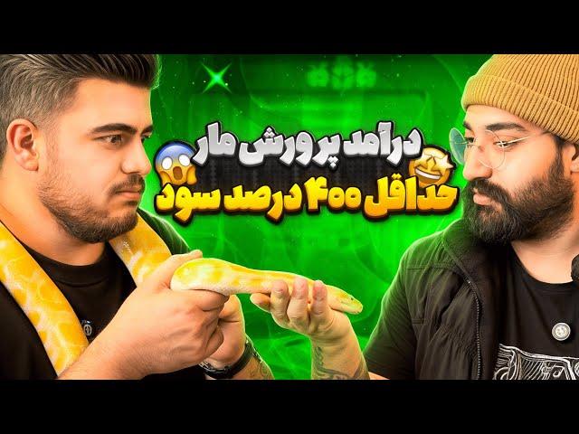 سود آوری عجیبه پرورش مار !  مگه میشه ؟