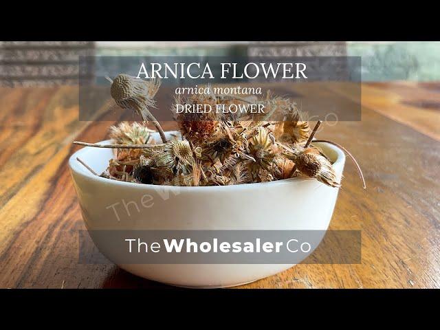 Dry Arnica Flower - Arnica Montana - TheWholesalerCo