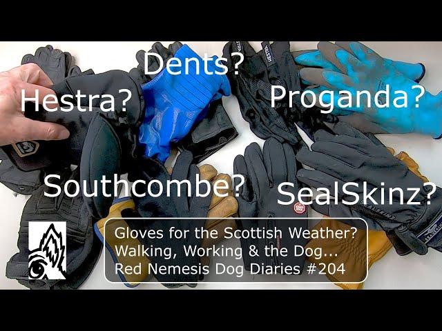 Gloves for the Scottish Weather? Walking, Working & the Dog. Red Nemesis Dog Diaries #204