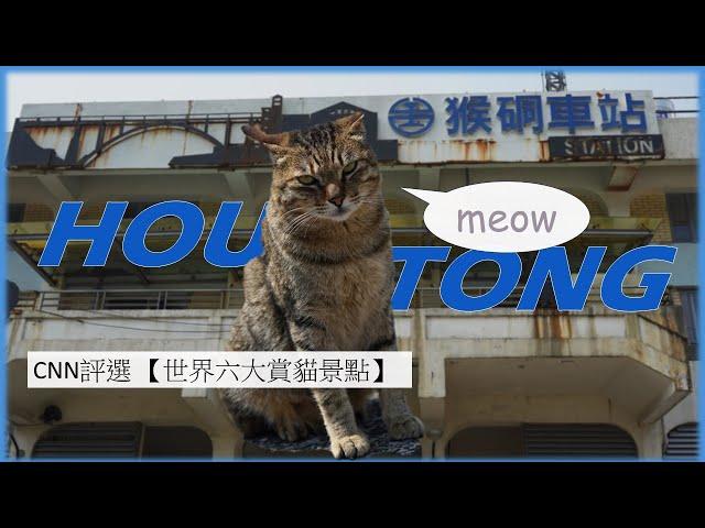 Discover the Charm of Houtong Cat Village: Taiwan` s Feline Heaven | Old Mining History Also Here