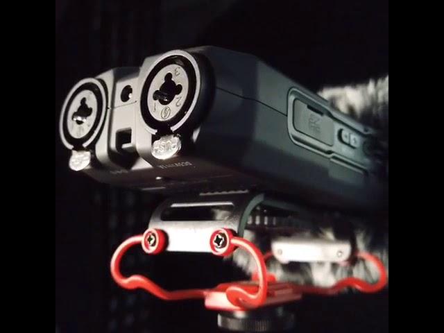 Microphone and Portable Recorder