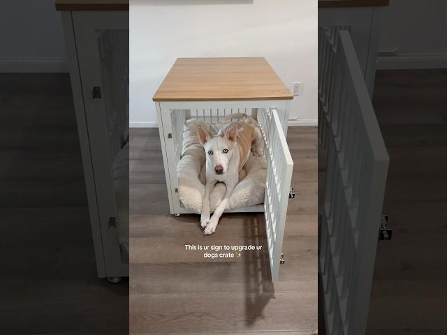 The BEST furniture dog crate, I added it to my Amazon storefront#dogshorts #doglover #dog #puppy