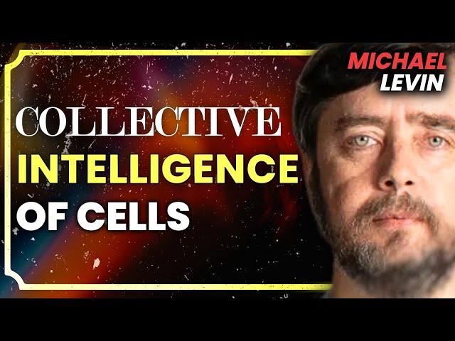 Michael Levin: Consciousness, Biology, Universal Mind, Emergence, Cancer Research