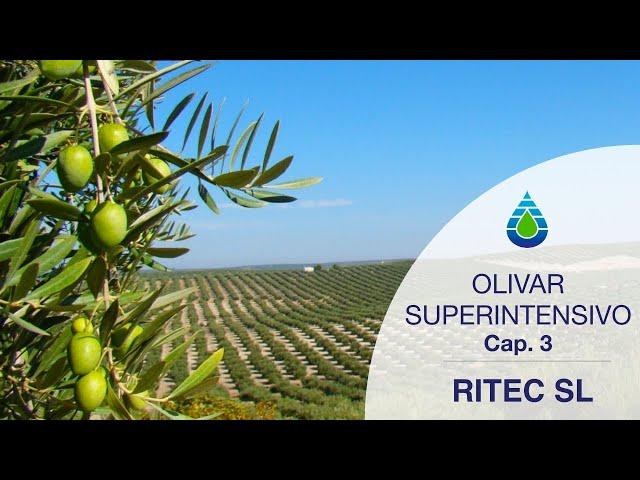 MARCO DE PLANTACIÓN Y TERRENO - OLIVAR SUPERINTENSIVO [Cap.3] [Cátedra Agritech Murcia UPCT]