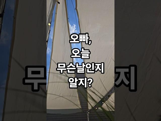 고기 먹는 날 ? #잠실#횡성한우#맛집#shorts#food#delicious#korean#beef#bbq#restaurant#택시#기사#노래