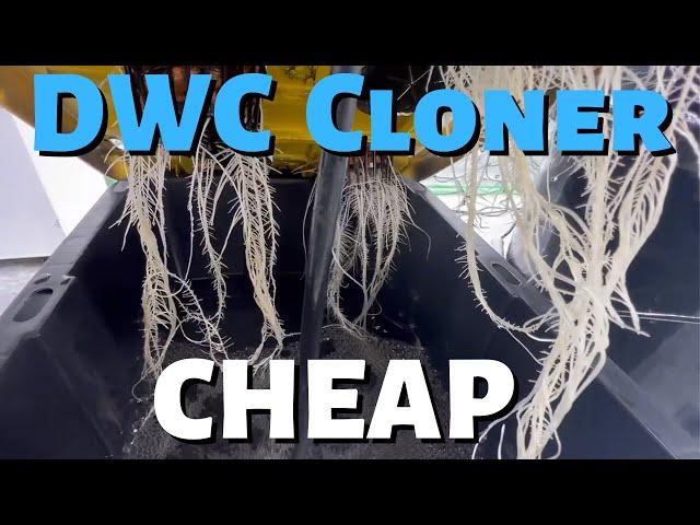 CHEAP DWC Cloner (DIY)