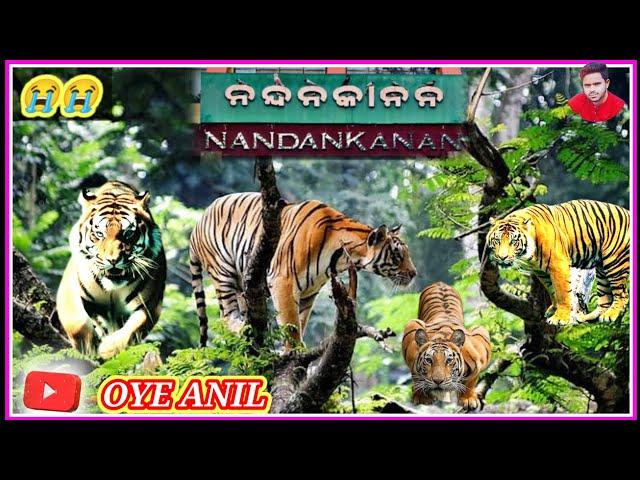 Nandankanan Zoological Park Bbsr// @oyeanil2861 #nandankanan #zoologicalpark #