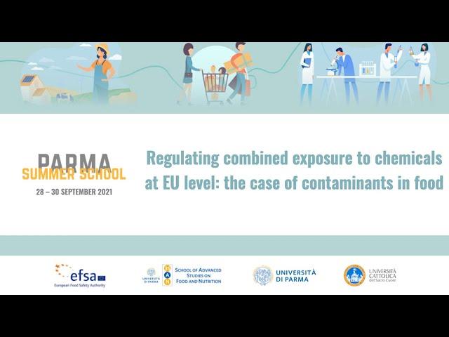 PARMA SUMMER SCHOOL 2021: REGULATING COMBINED EXPOSURE TO CHEMICALS - FRANS VERSTRAETE