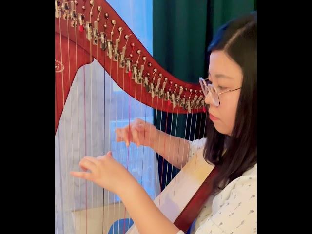 [Canton Pop Classic on Harp]分分鐘需要你 林子祥 Harp arr. Micky Ma #popharp #morningpractice#GoodMorning