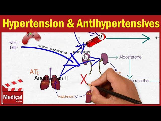 Pharmacology - Hypertension and Antihypertensive Drugs FROM A TO Z