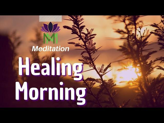 Morning Awakening: 15 Minute Somatic Mindfulness Meditation for Self-Healing | Mindful Movement