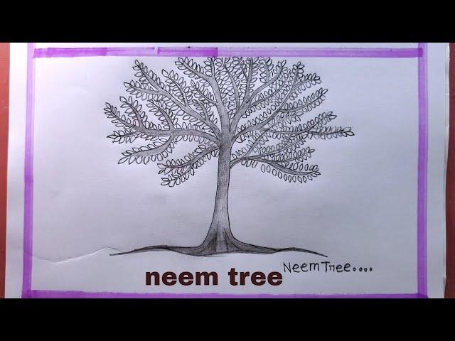 How To Draw Neem Tree Step By Step/Neem Tree Drawing