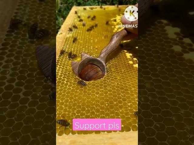 Modernization skill to collect pure natural honey with wooden spoon..25566M views..