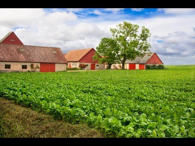 Stock Screener: Ep. 156: Verde Agritech (NPK): Crop Yields Stagnating