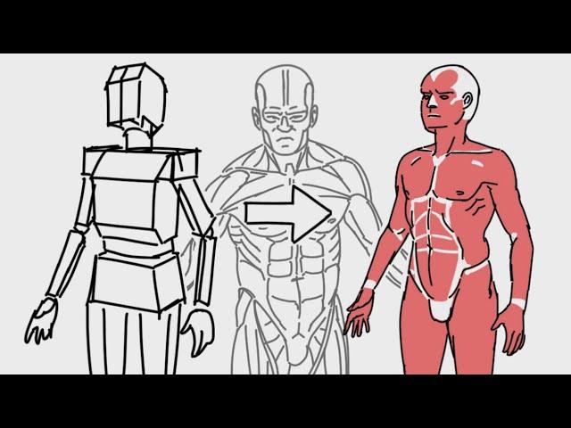 How to Draw BASICS: Anatomy