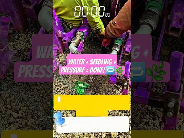High-Pressure Water Planting System – Easy Seedling Insertion in Tough Soil