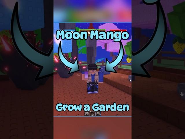 MOON MANGO GROW A GARDEN #growagarden