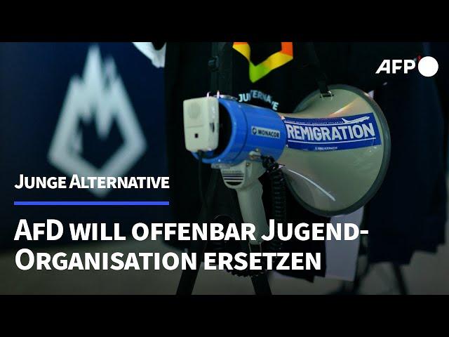 Medien: AfD will Jugendorganisation "Junge Alternative" ersetzen | AFP