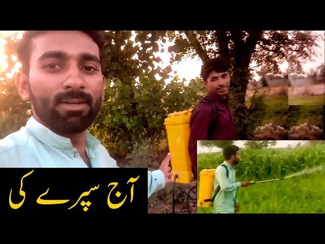 Aaj sapre kee | Sprayed  | Shafiq Ahmad Vlog