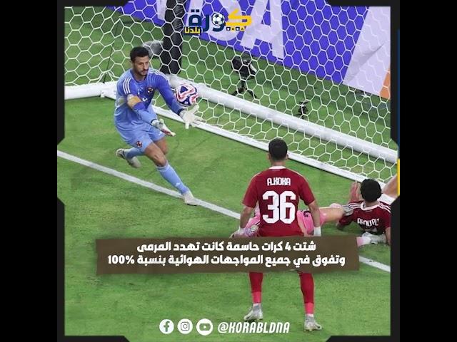 «تجاوز مانويل نوير وديدا».. الشناوي يكتب التاريخ في مونديال الأندية 