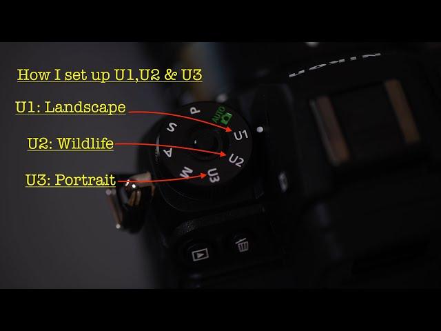 Nikon U1, U2, U3, Best set up. Nikon Z6, Z6II,  Z7, Z7II, Z5, Z50. Best custom User settings options