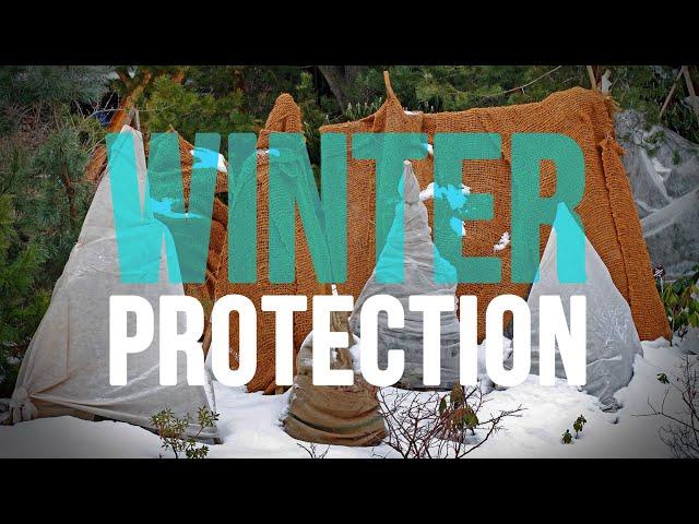 Winter Protection for Garden Plants