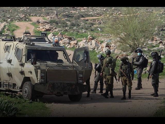 The Violations of the Israeli Occupation Forces on the Agriculture sector in WB & Gaza 2020