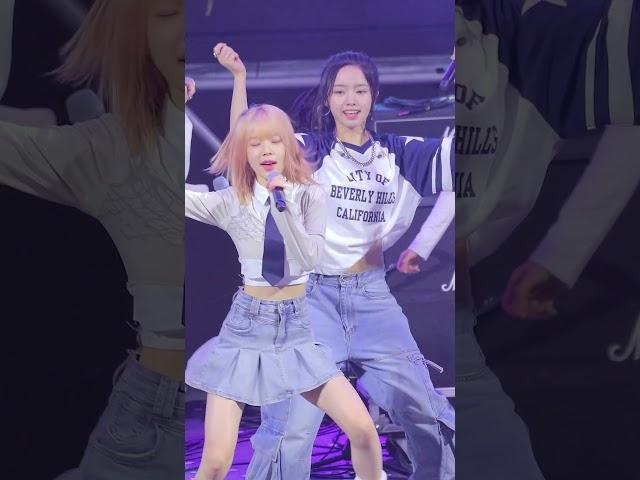 유니스 코토코